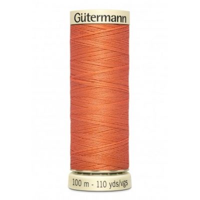 Fil Gutermann col 895